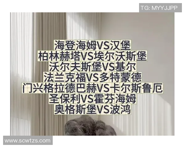 柏林赫塔与霍芬海姆历史交锋回顾及战绩分析 柏林赫塔与霍芬海姆历史交锋回顾及战绩分析